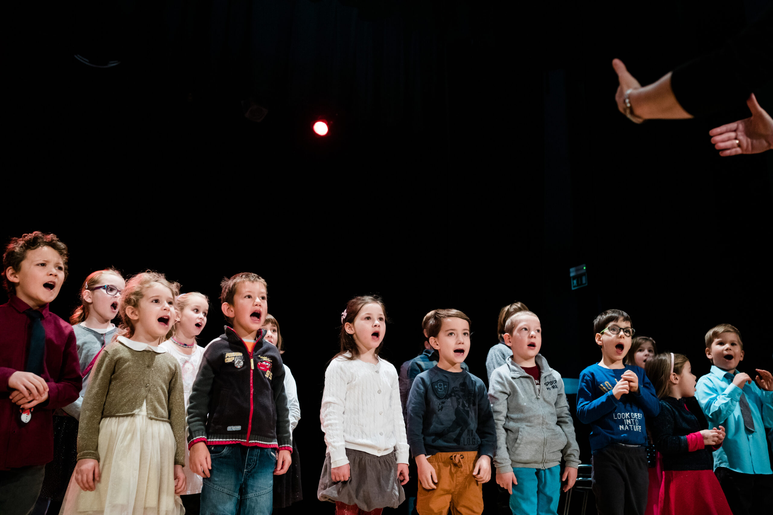 Polona Avanzo, Slovenia: We Have Been Singing From a Young Age, 2019, Children’s Choir of Zvočna zgodba (Sound Story) Music Centre, Slovenia -Never ever ask a child who likes singing to pretend to just open their mouth! The expression of emotion through singing brings a shared experience, connection, development of emotional and imaginary world and a tool for speech development.