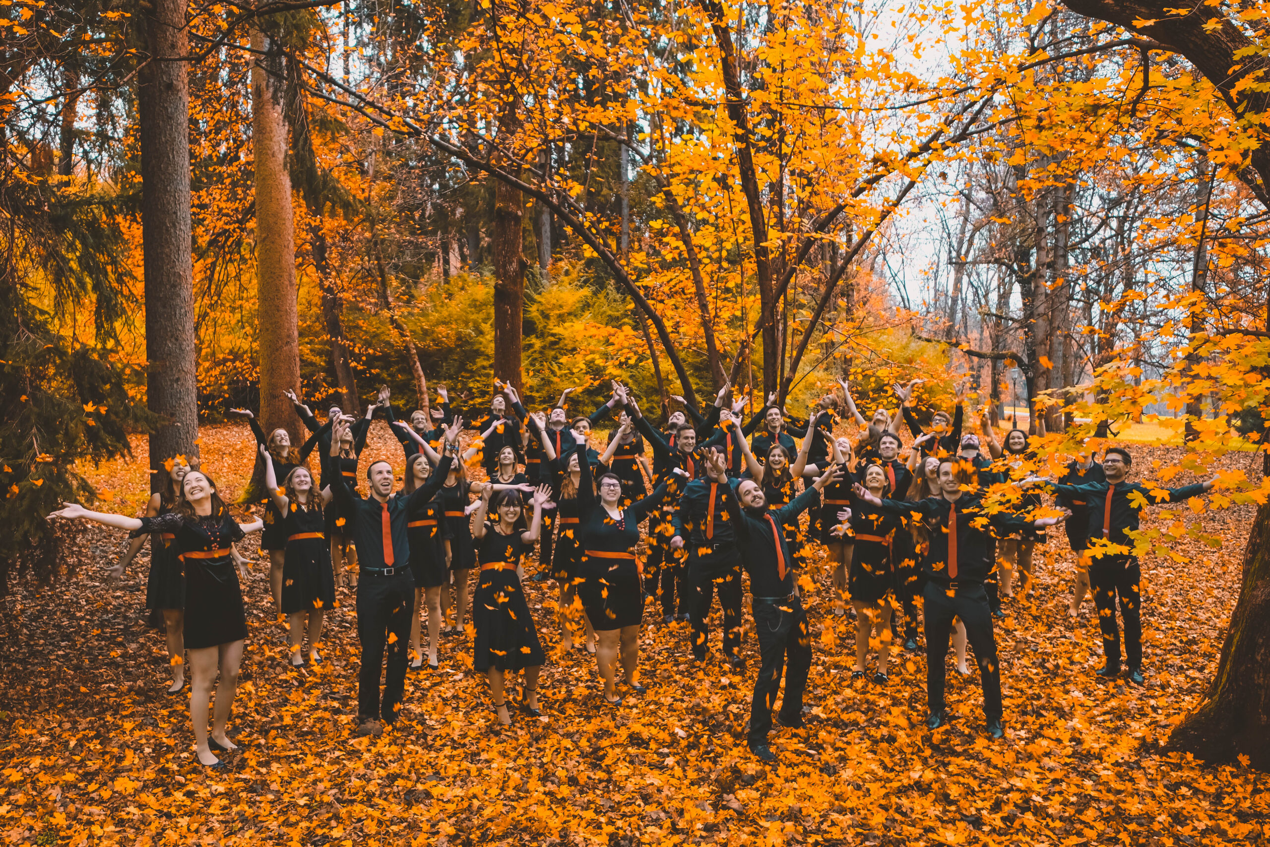 Žan Križnar, Slovenia: 50 Shades of Orange, 2018, Crescendo Mixed Choir, Slovenia - According to the members of the choir, this is one of their favourite pictures and it was actually taken in Tivoli Park, only a stone’s throw away from where you are standing right now.